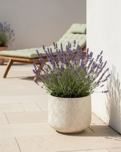 Vaso per piante ERIROS 31 cm Beige chiaro