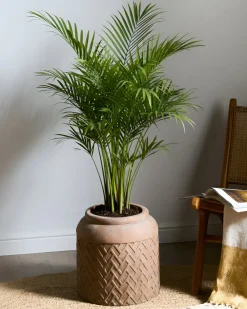 Vaso per piante GERAKAS 35 cm Beige