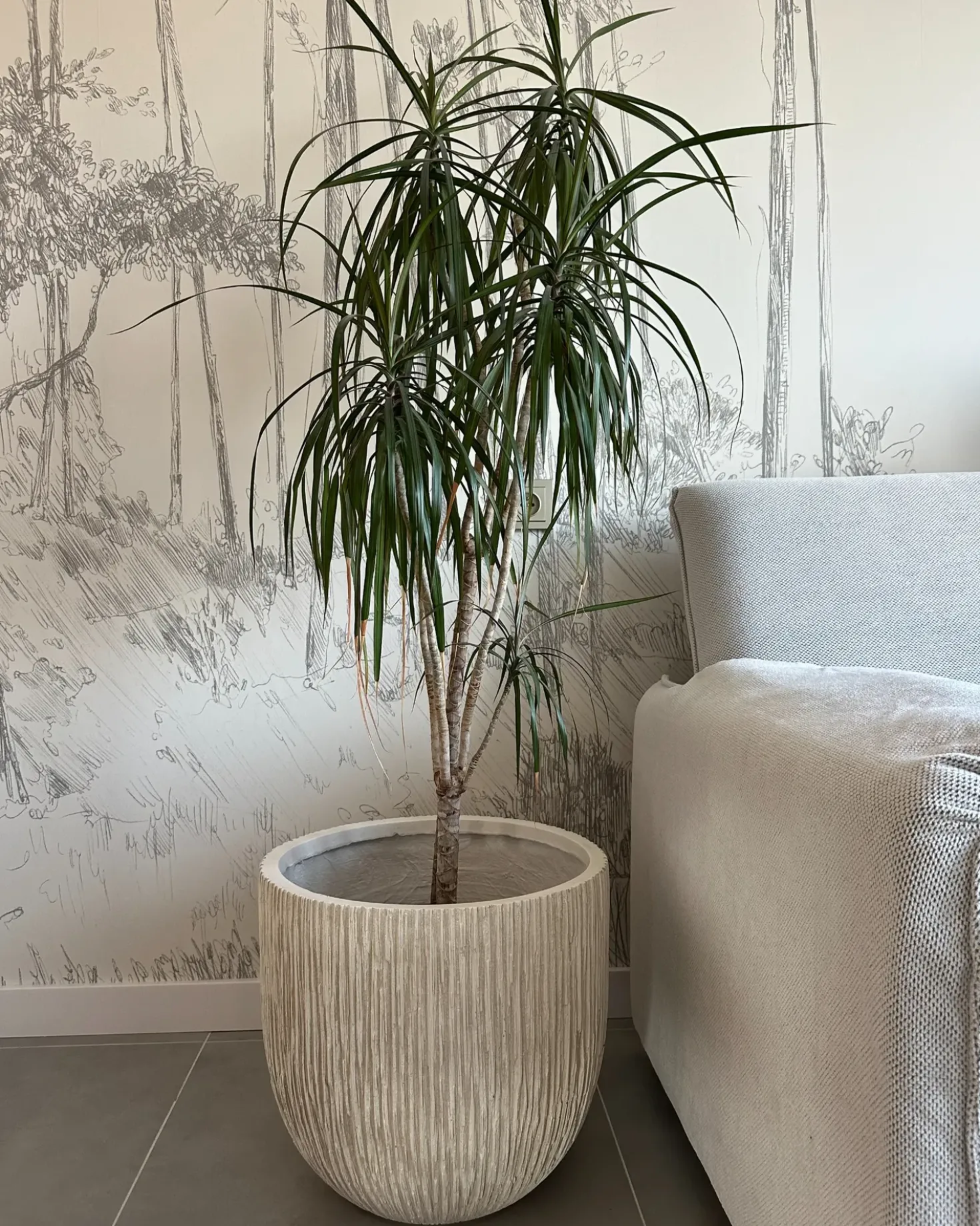 Vaso per piante HANYUE 42 cm Beige chiaro