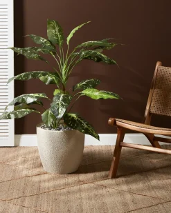 Vaso per piante KANNIA 36 cm Bianco sporco
