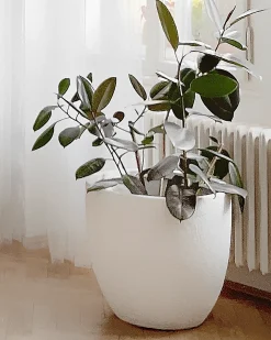 Vaso per piante KANNIA 55 cm Bianco
