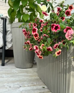 Vaso per piante KOLA 39 cm Beige