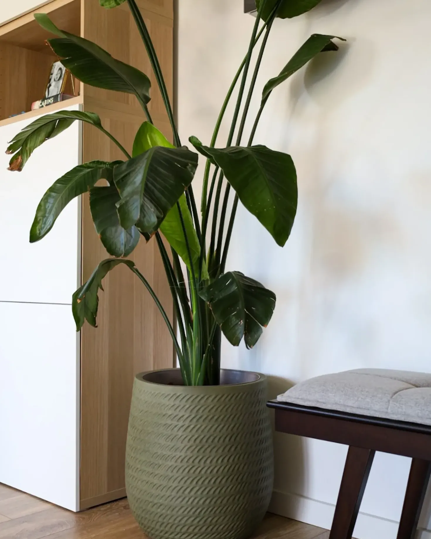 Vaso per piante LIVADIA 39 cm Verde oliva