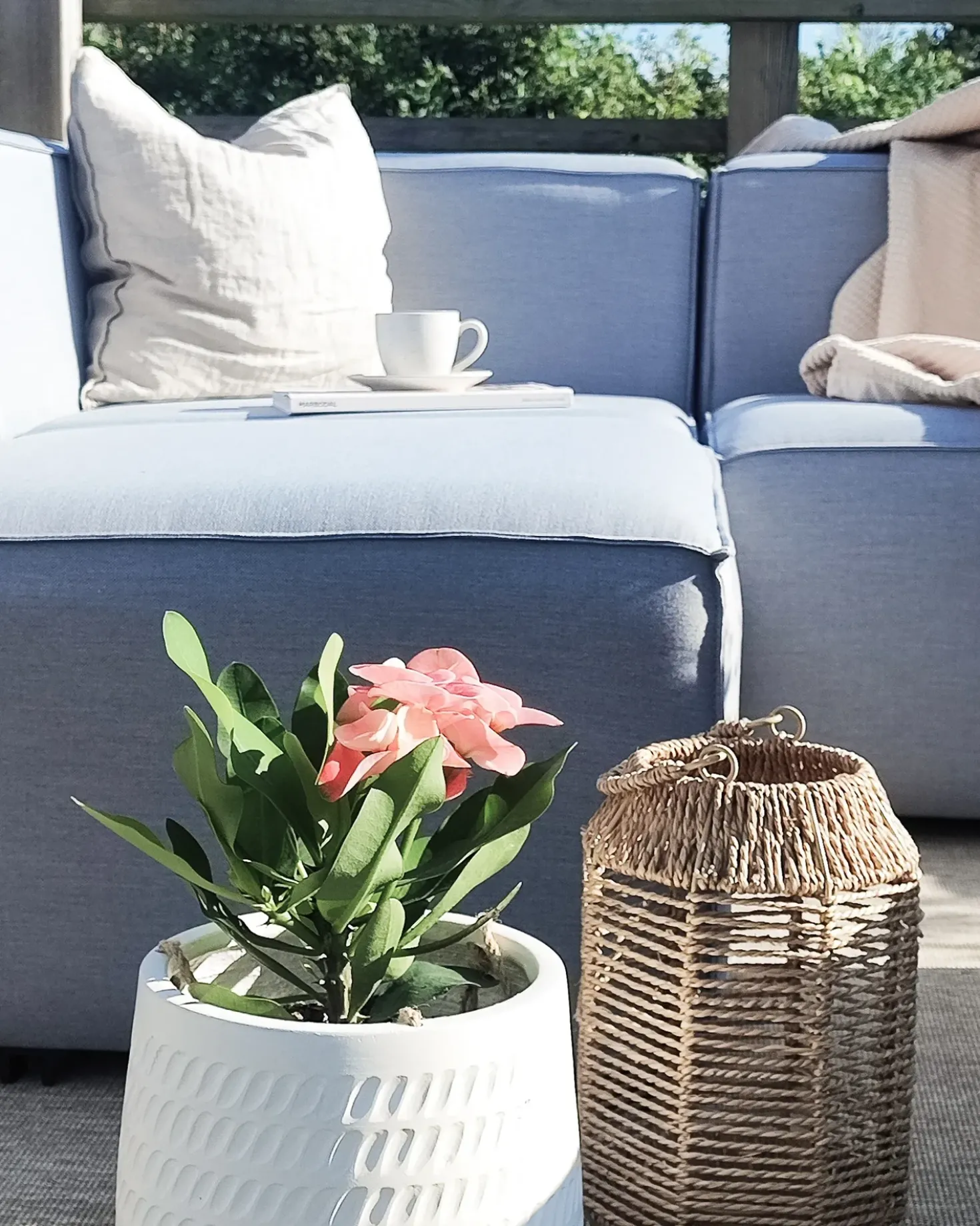 Vaso per piante LIVADIA 20 cm Bianco sporco