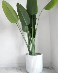Vaso per piante OREOI 37 cm Bianco sporco