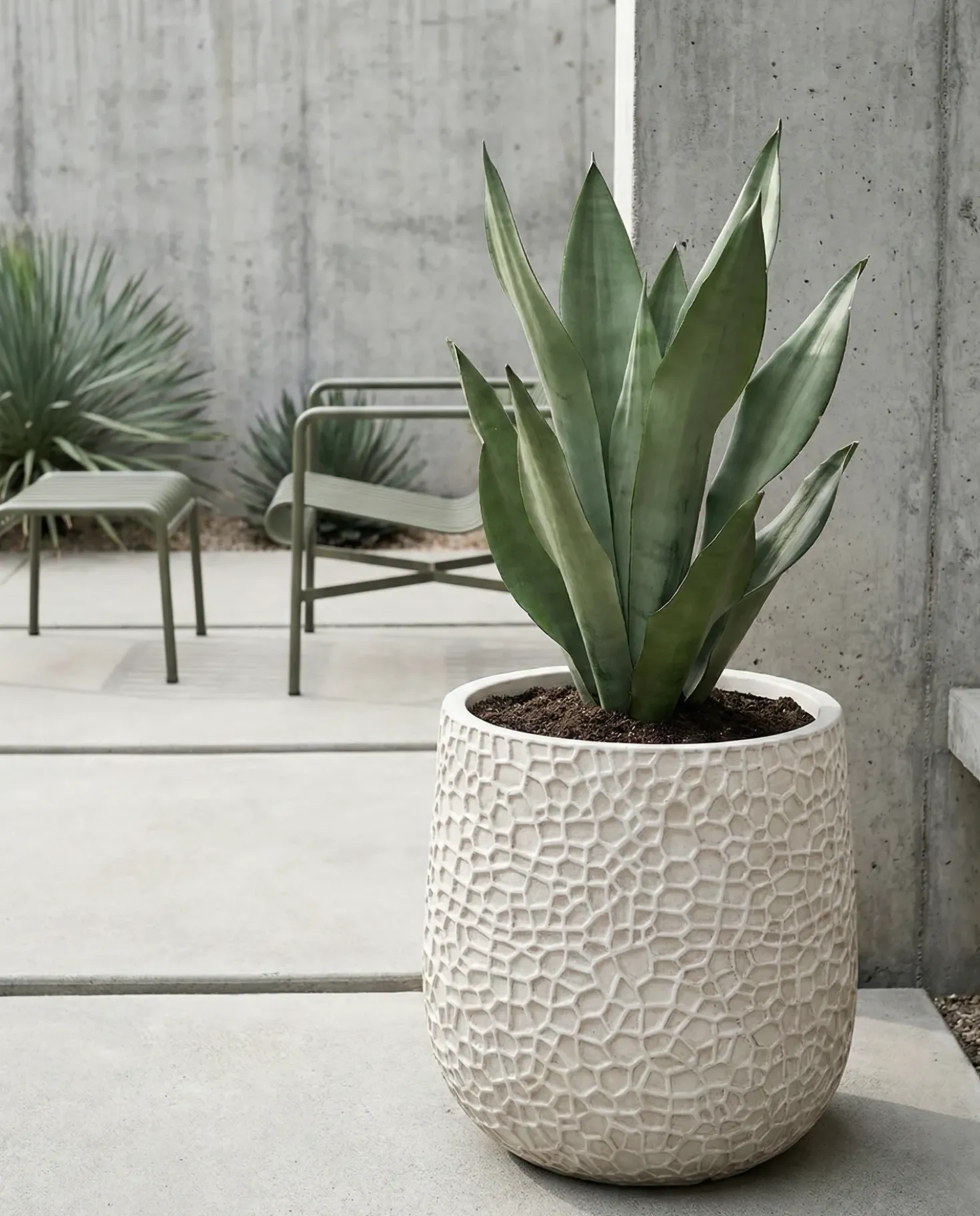 Vaso per piante QIYUN 41 cm Beige chiaro