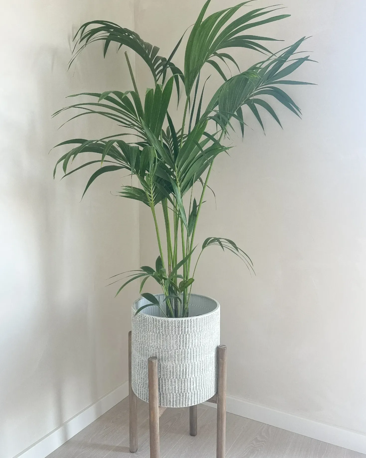 Vaso per piante rialzato PINSAPO Metallo 30 cm Grigio
