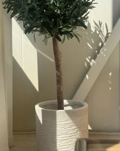 Vaso per piante SAMOS 26 cm Beige chiaro