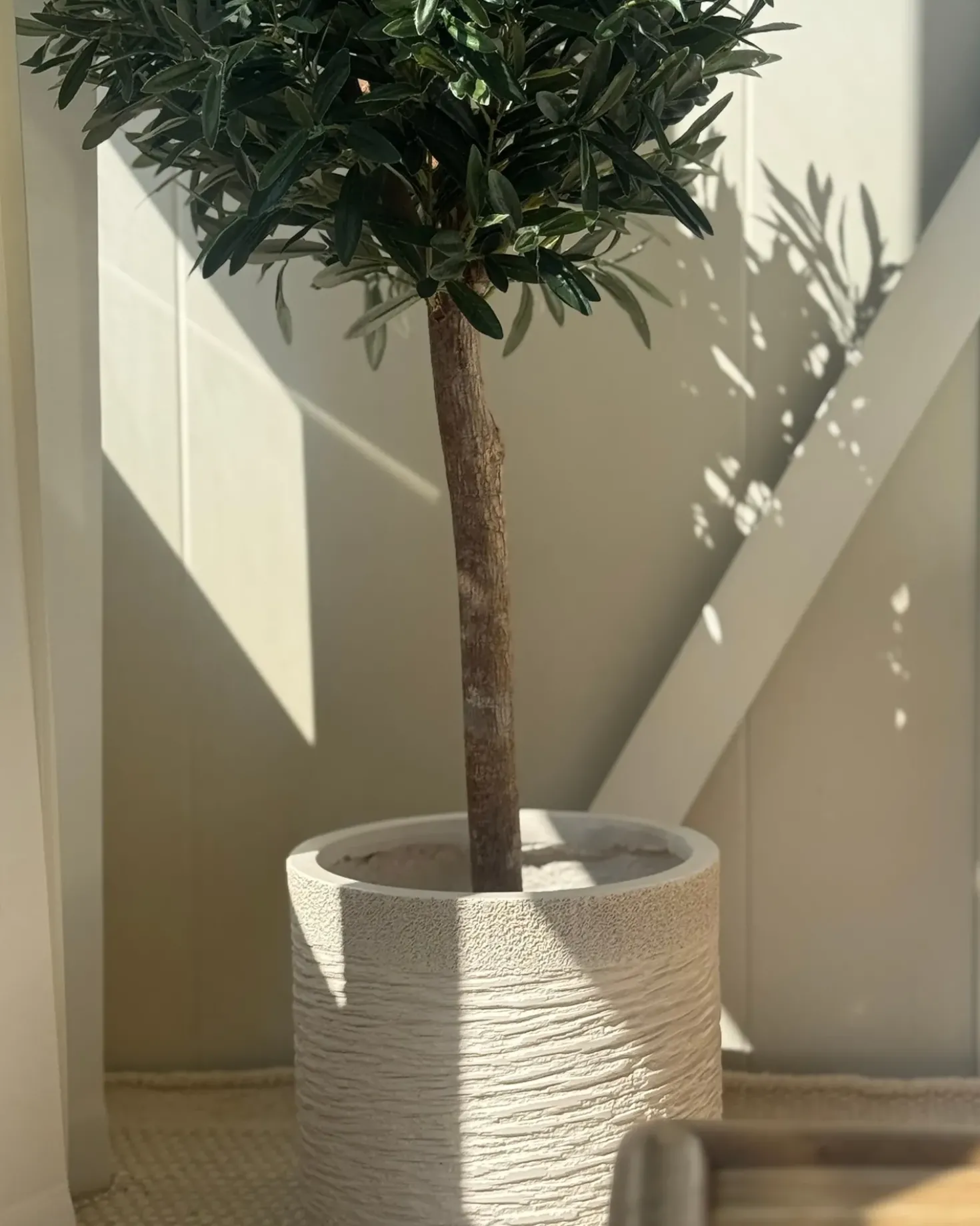 Vaso per piante SAMOS 26 cm Beige chiaro
