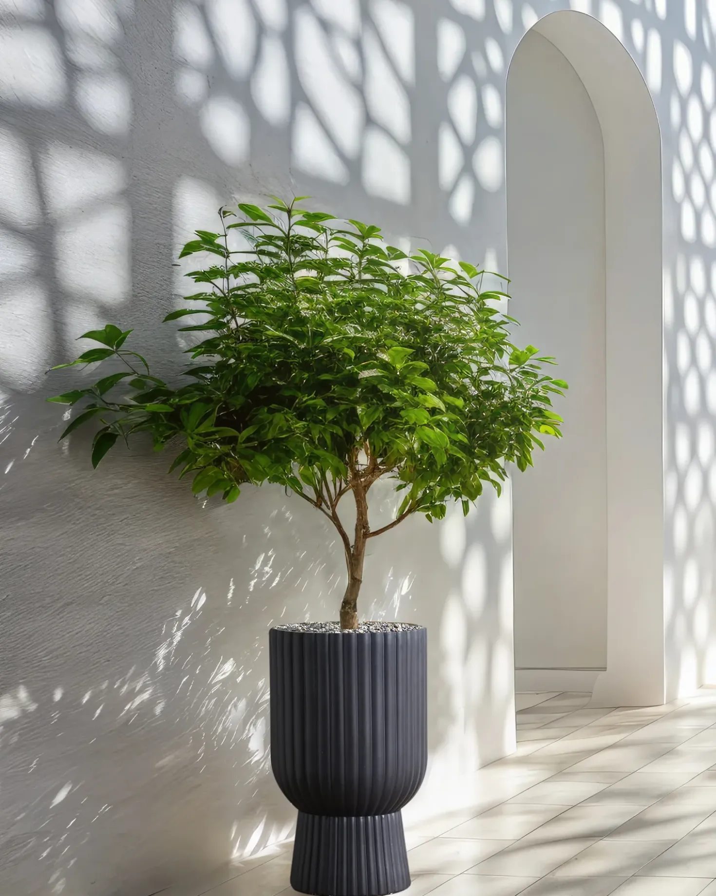 Vaso per piante TAXODIUM 34 cm Grigio grafite