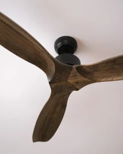 Ventilatore a soffitto ARANI con telecomando Marrone